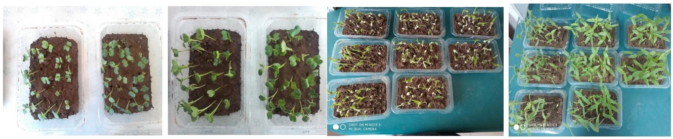 99_20240702_17199113525219230