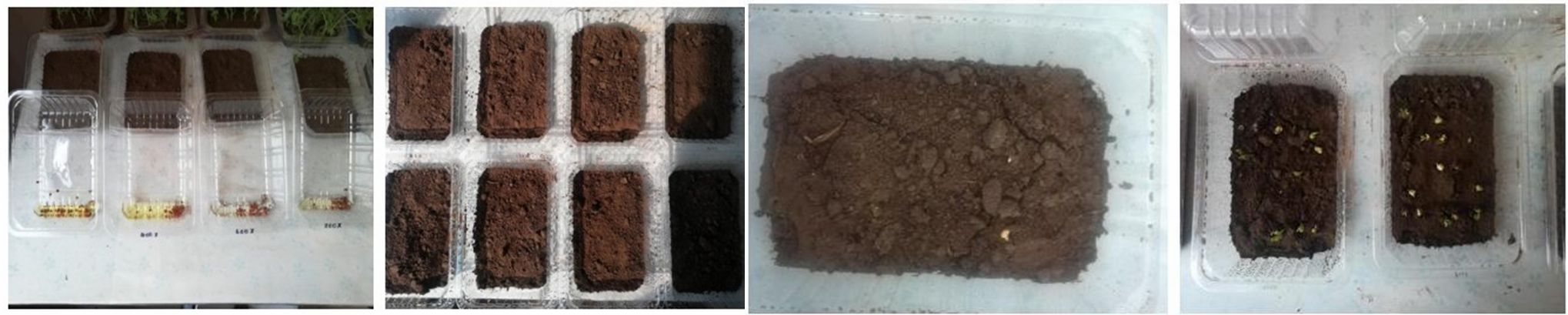 97_20240702_17199113525212630