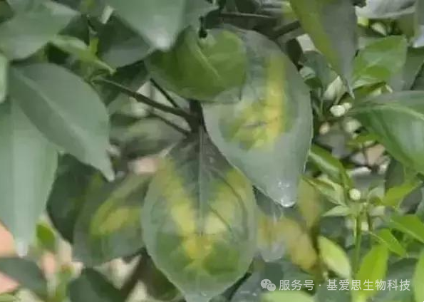 97ff6e341c862e24a8e392dc4d6256a3