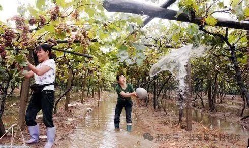 18f36f8510e2b1450d7281d836b3cde5