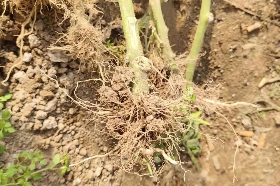 21ee8e1db464f04097e9a7632d4df8f4