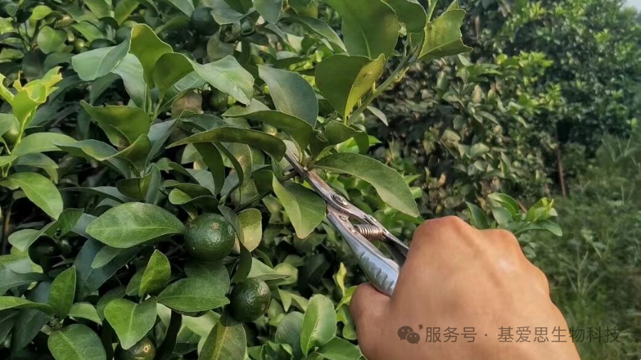 e6b7562882cf6dca076b0ec5834d278e