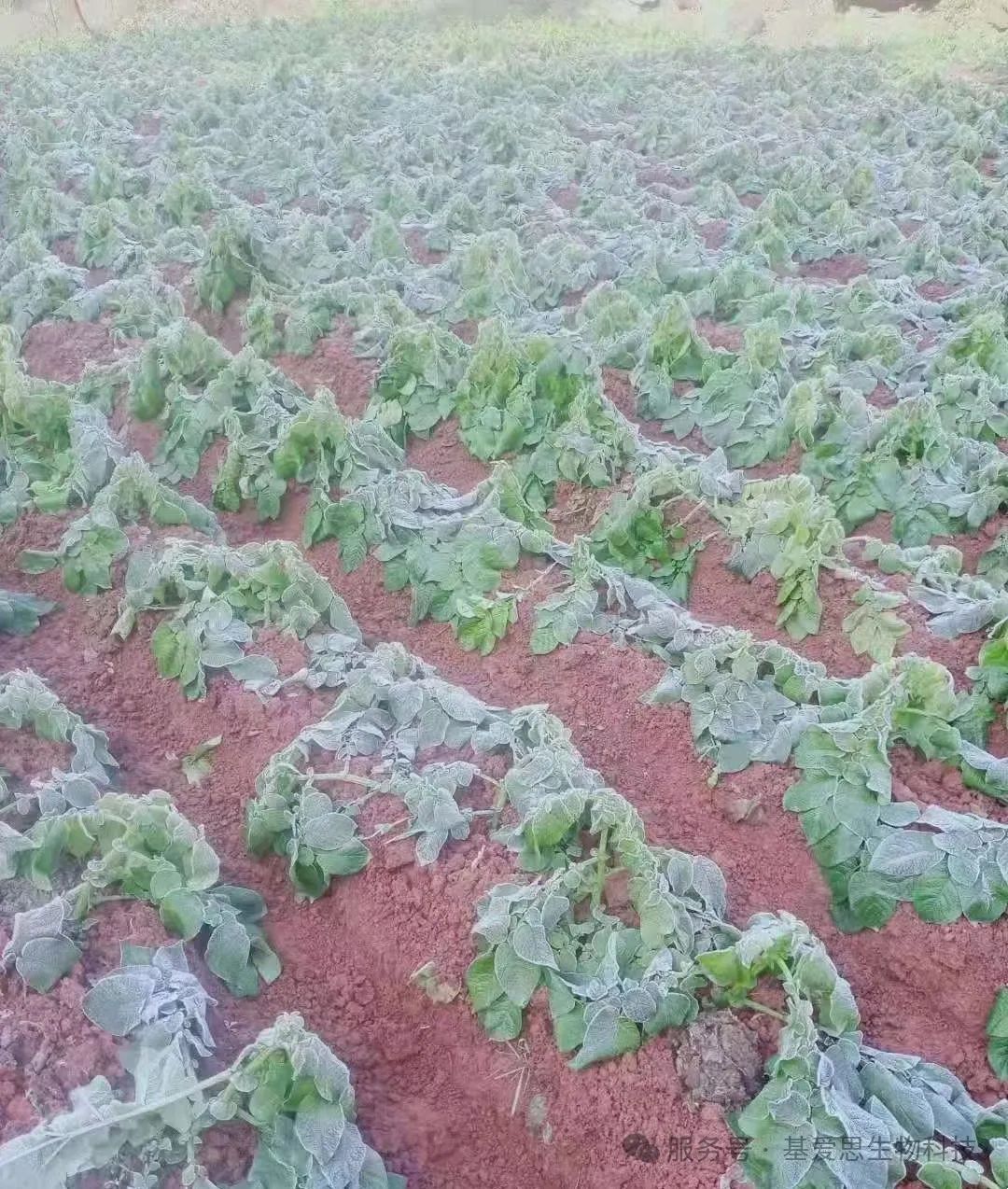 99c09791c5cb99de1b85e4d22edc5995