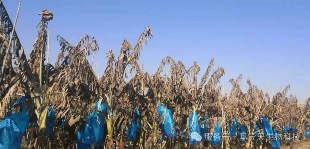 c4a4d692b786372bcae26c7e2d5dd614