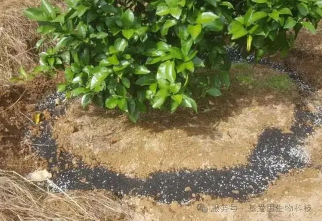 f44f5ac5d0f8ffe01c16f5d7d2c1903d