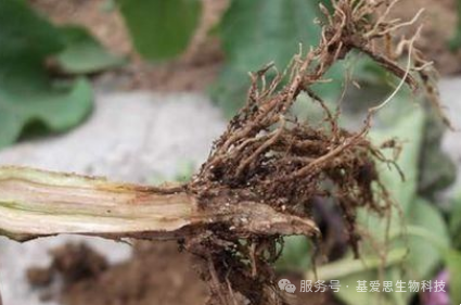 93a7dd6db7aadf0dc55a9472e498d759