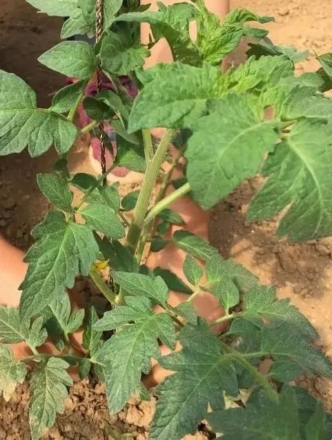 f5d5a8dd6ca09239157253a23e7fa767