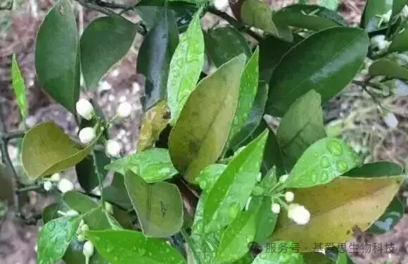 14613fbf58f3dee309418218c1f97f25