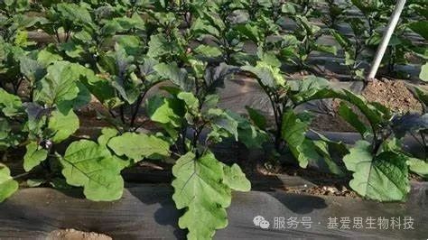 122e78a86a3bde14f0f5fa2855bb648f