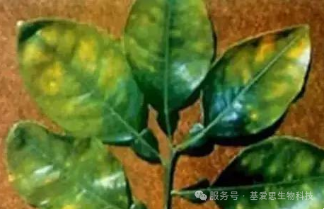 69f51788a49c53cbd93e952d7c9c4170