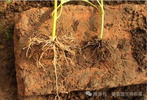 b2d5f20eef47a1157dc9018fb5b0c072