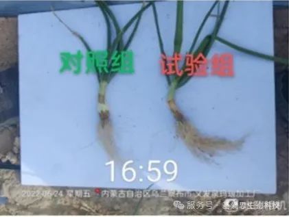 316122e6be032f5e3339e4c1498eea1f