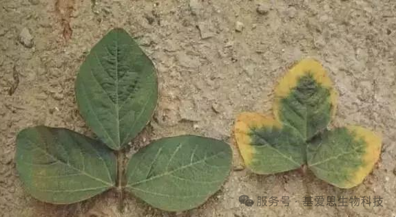 e68e512d8a141697bc00839a876ada65