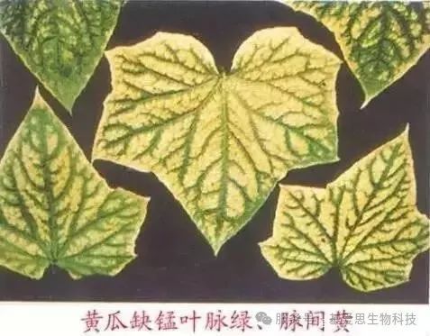 54b537f22c637653fbe3075d624560d0