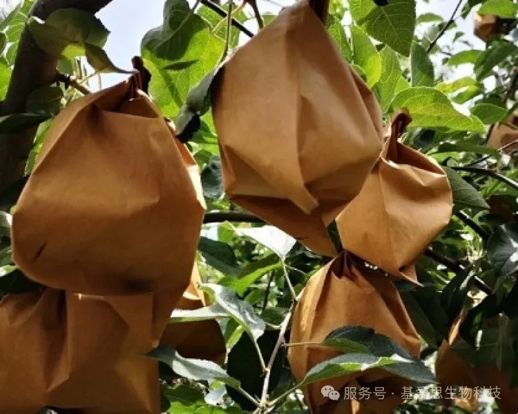 aac20a4e4bd27c5dae20fa19a0f9ffec