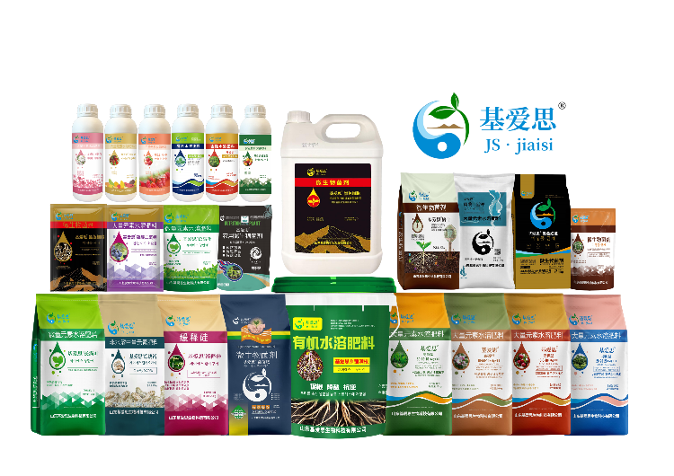 全家福 新24款_00