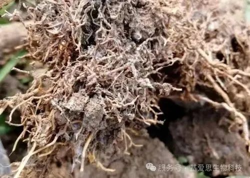 b3d3c1a79ece4a60e6a4d7a3e4494e8c