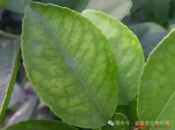 bb754086e73ae9f1cb178608d25de84a