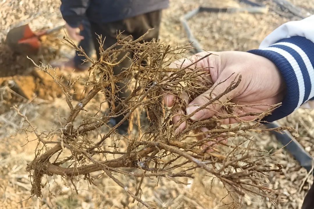 0ad07dbaf7b9afef3d645192867f6c14