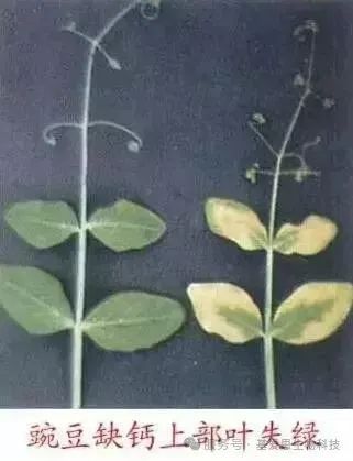 74e4b569ef724dc0e25ee99786b69a31