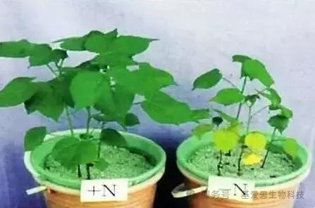 821586da8ba5b5dd56a7475043e28d7a