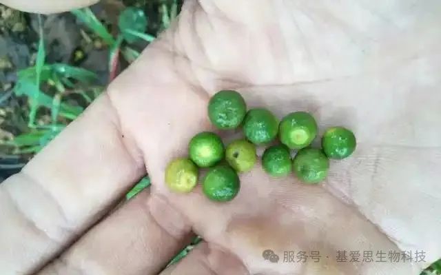 d68cc03eb726d7964b262d20e5aae6c8