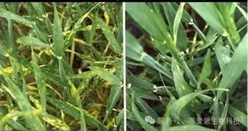 2ead001fad47644fd9ab82bc29b7efed