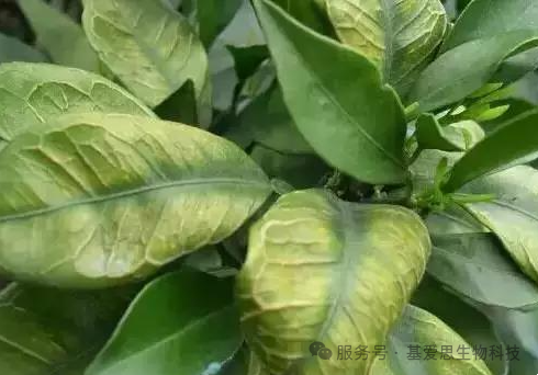 b93fa2236415f17d7f98e87aea700a12