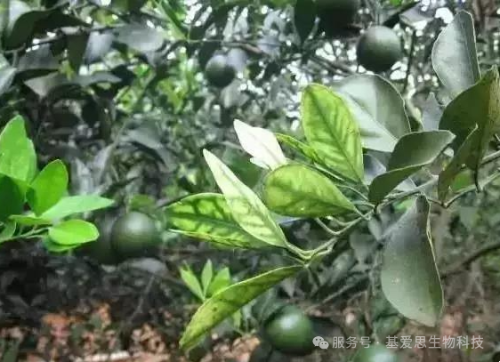 509279aeaab14f1f9bc8d9d78725ca69