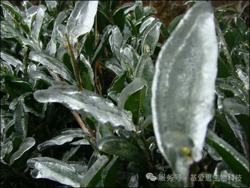 d95b689154e2598f9e9e2720a57c1b76