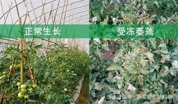 f3d1f601359d96720f123d3164758ff2