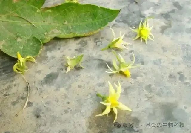 4d6b2d2b5c6c7bb493e78f909e95688e