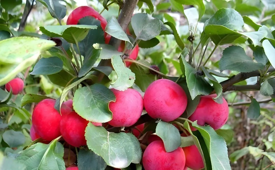 05530cd451e50baf7fd6b1be68a2e689