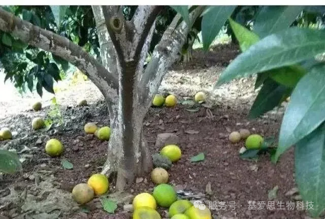 2241e9719f5c9aab71650cfa2218dbfa