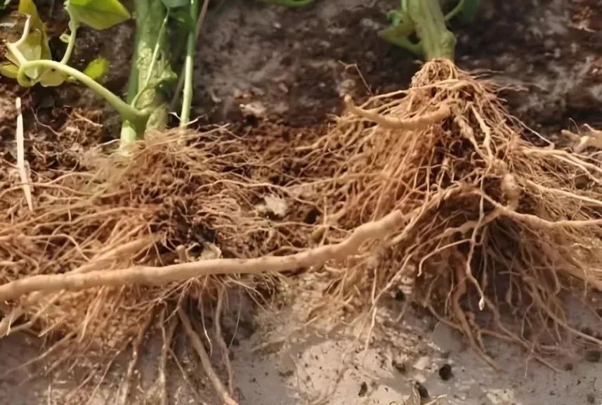 d669d5cd6100691a2b187dd4c80bfee0